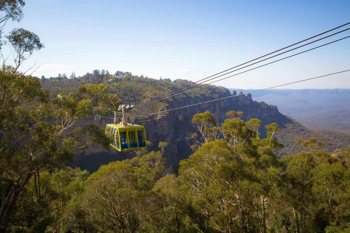 Blue Mountains Wheelchair Friendly Tour
