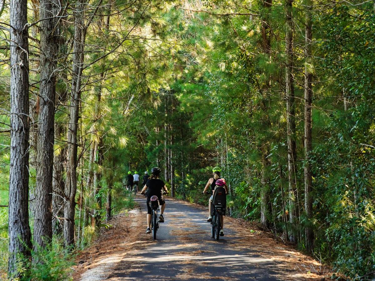 Northern Rivers Rail Trail Cycle