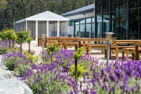 Port Arthur Lavendar Farm