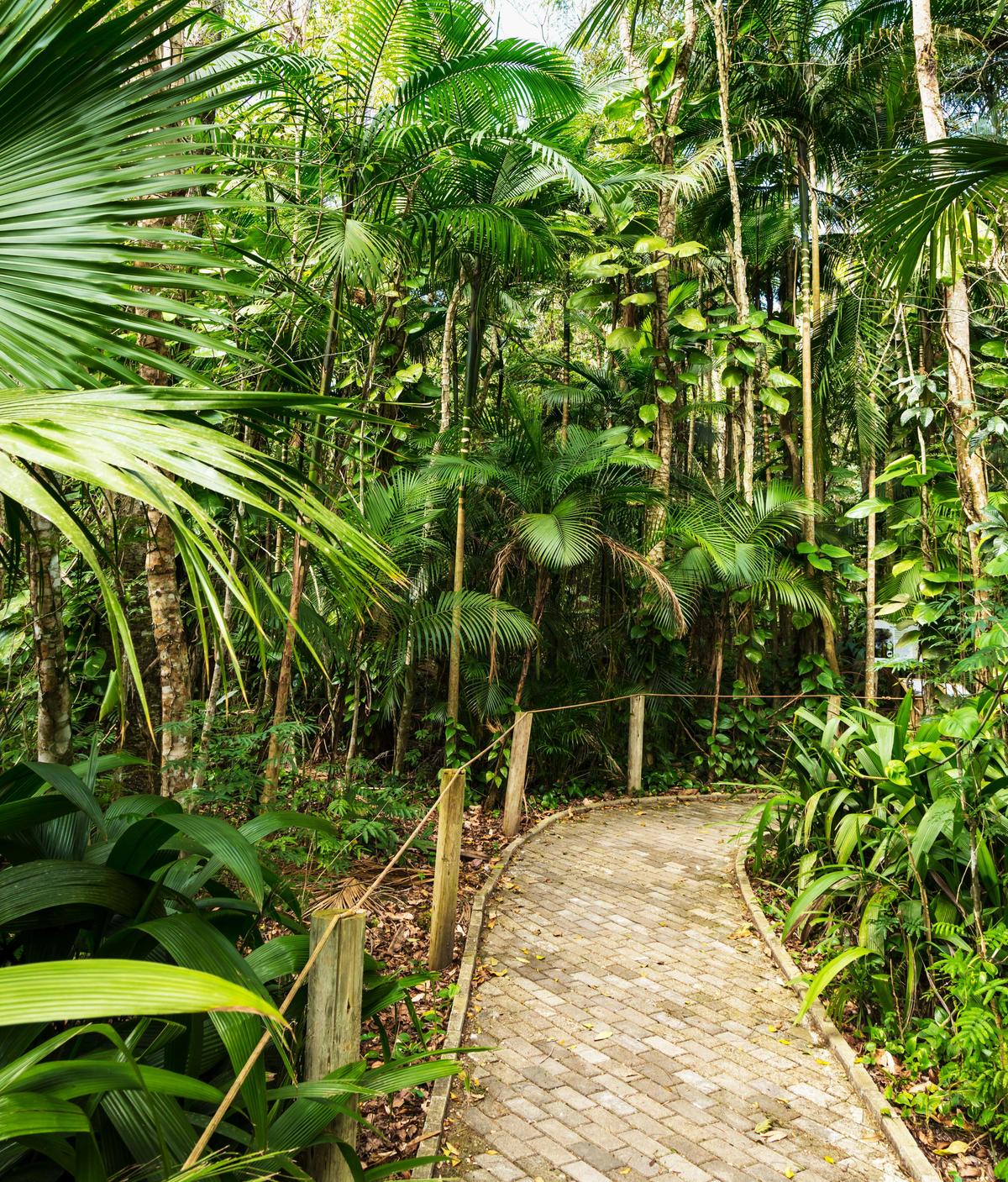 Private Kuranda - Skyrail, Scenic Rail and Koalas