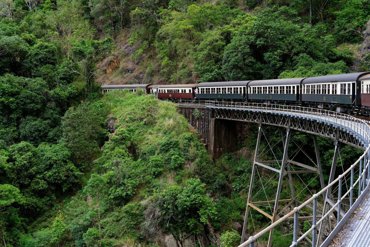 Private Kuranda - Skyrail, Scenic Rail and Koalas
