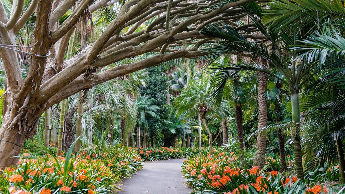 Royal Botanic Gardens