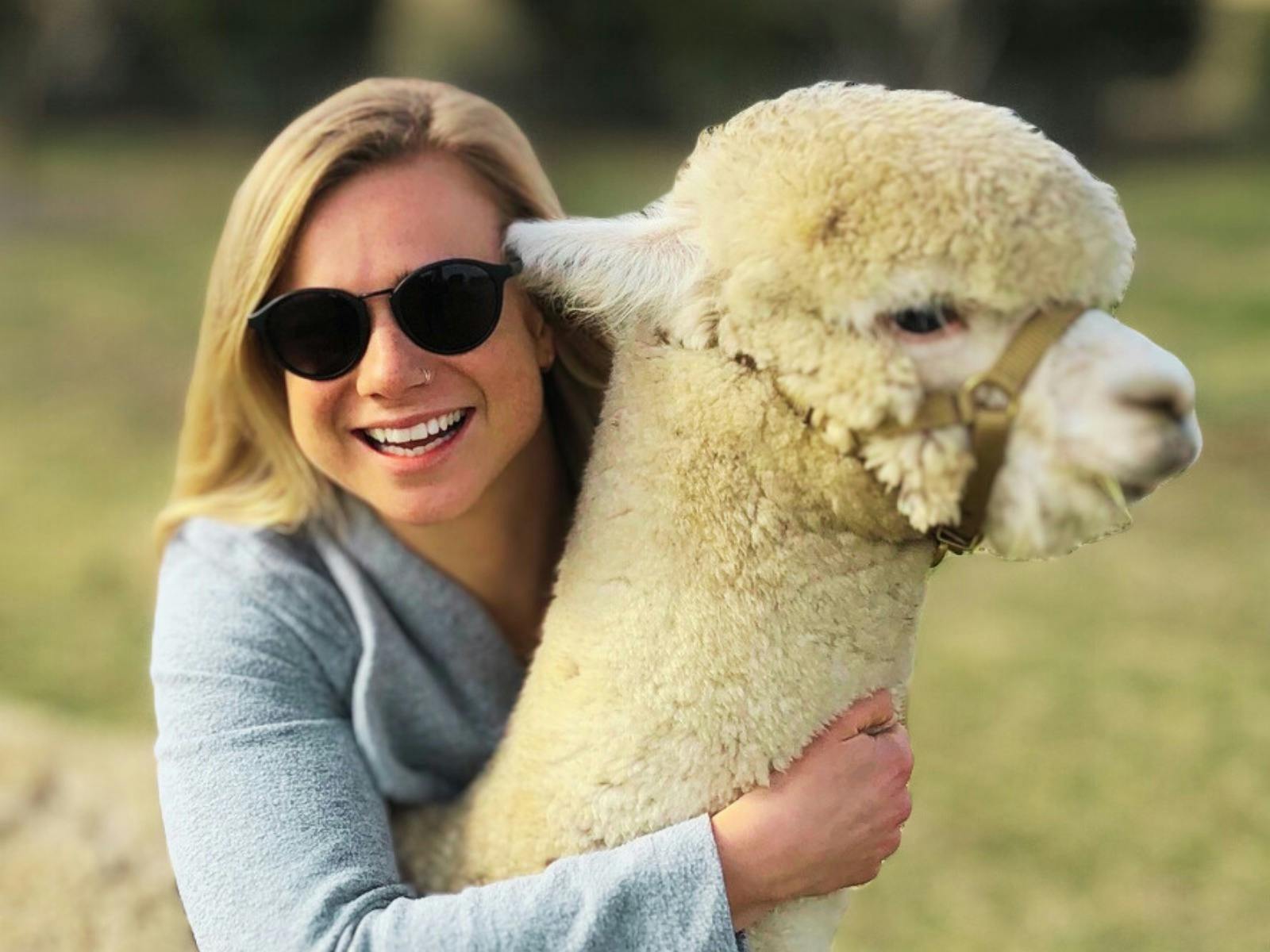 cuddle with the alpaca