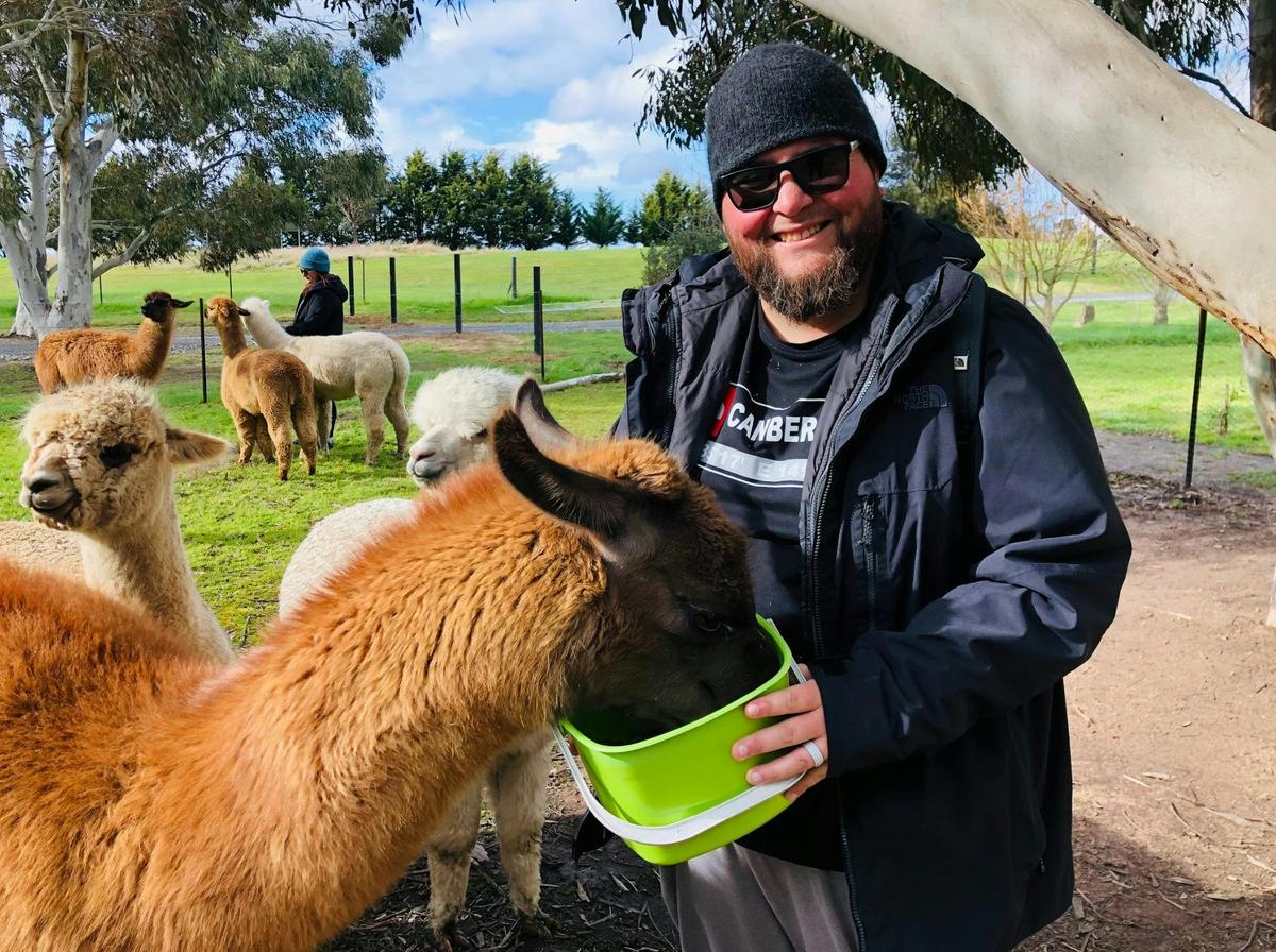 Alpaca Hand Feeding Tour
