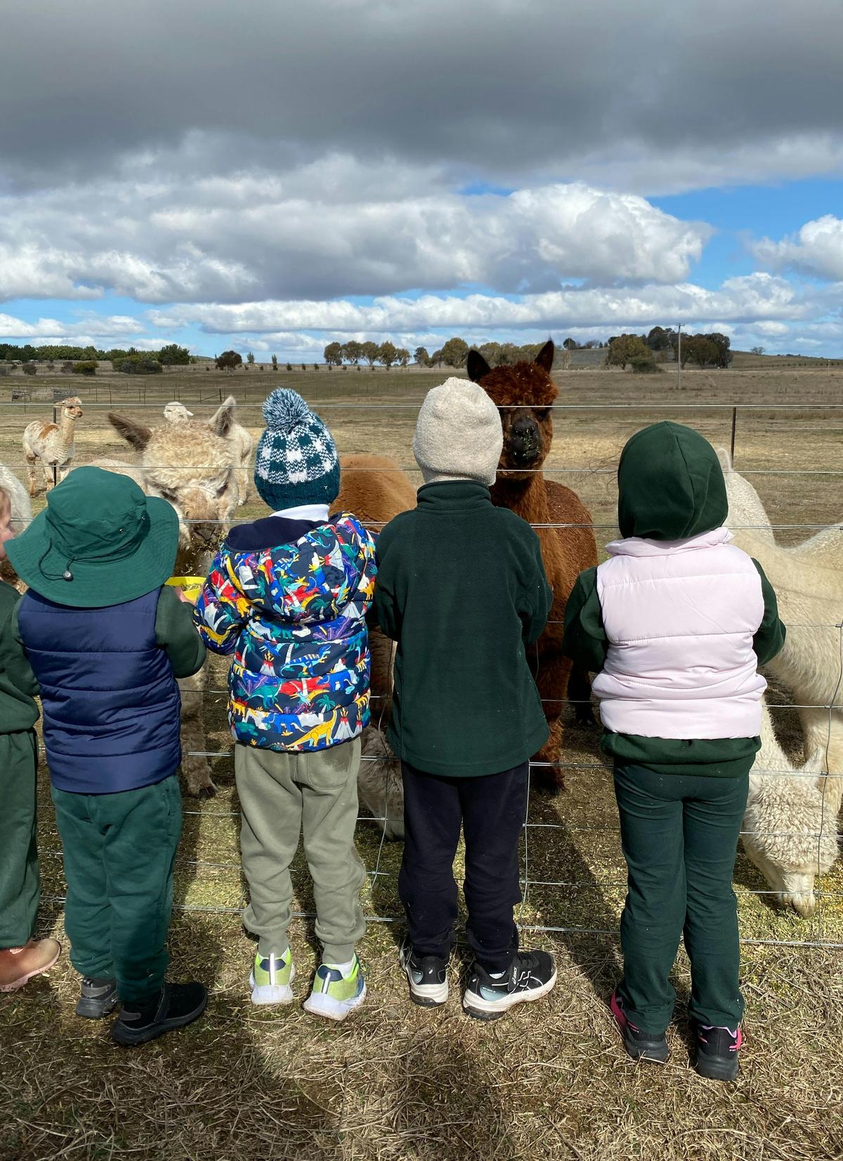 School Holiday Program