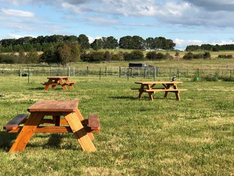 Picnic tables