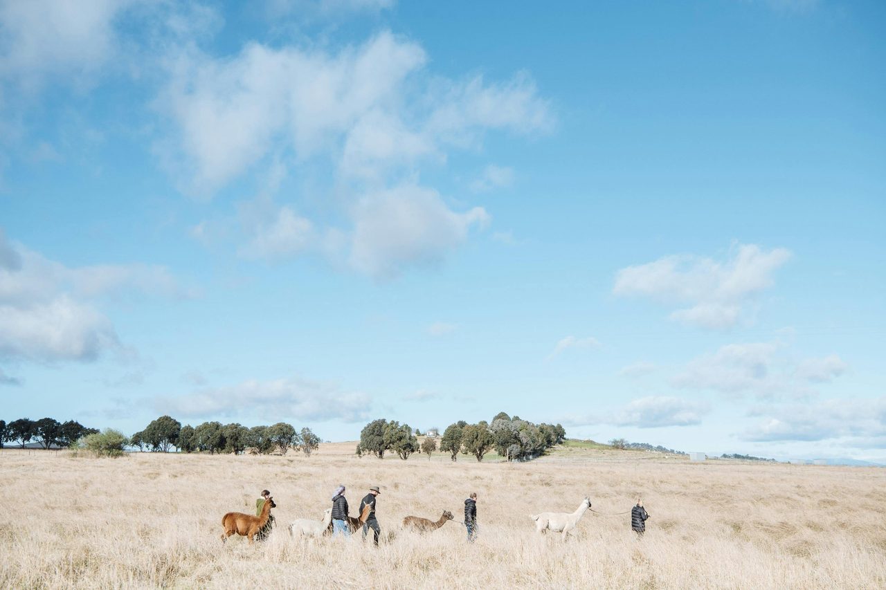 Walking tour across our farm