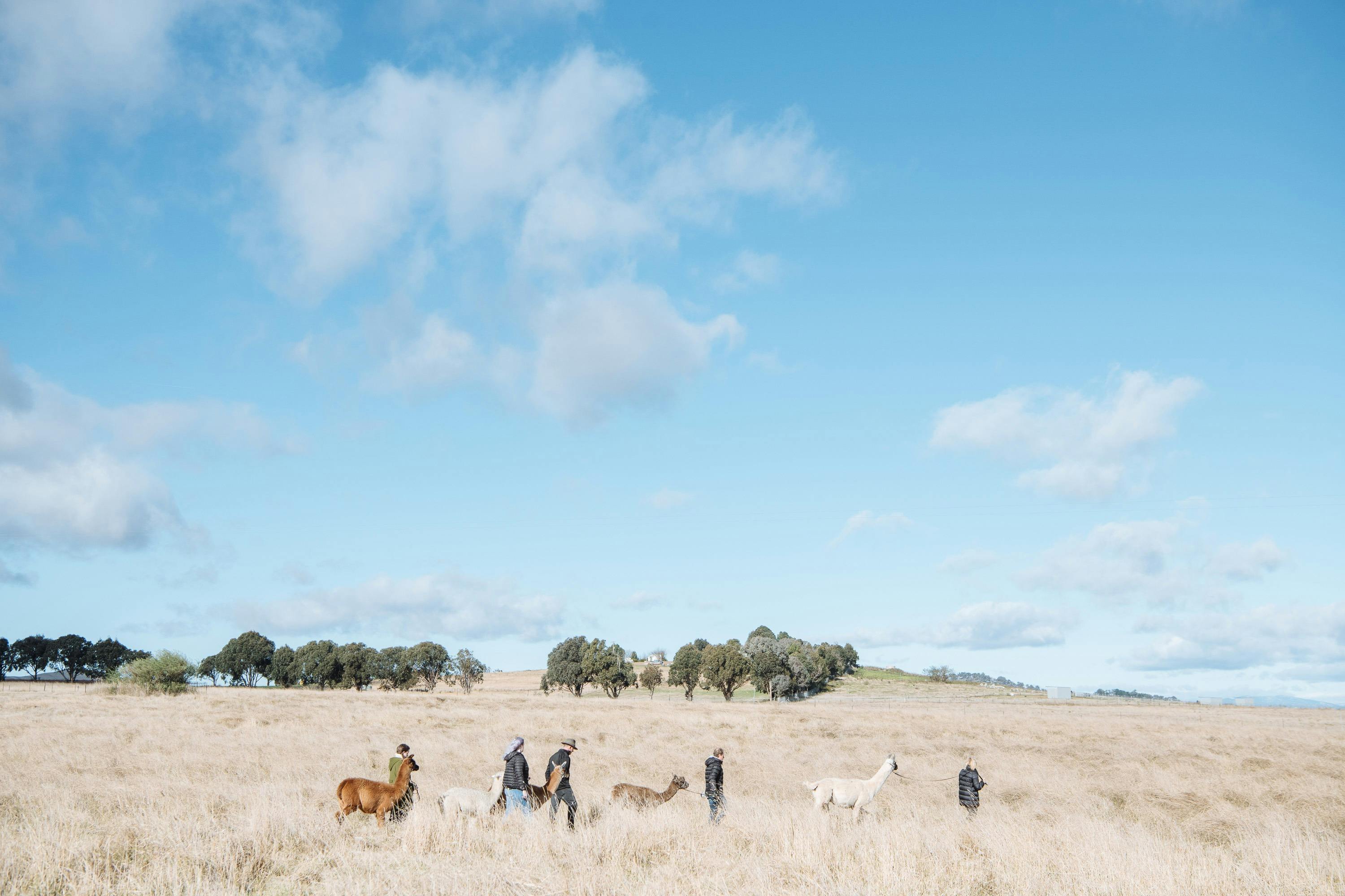 Walking tour across our farm