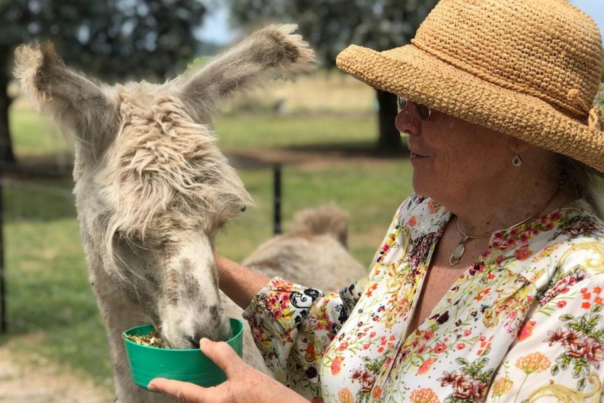 Hand feeding our herd
