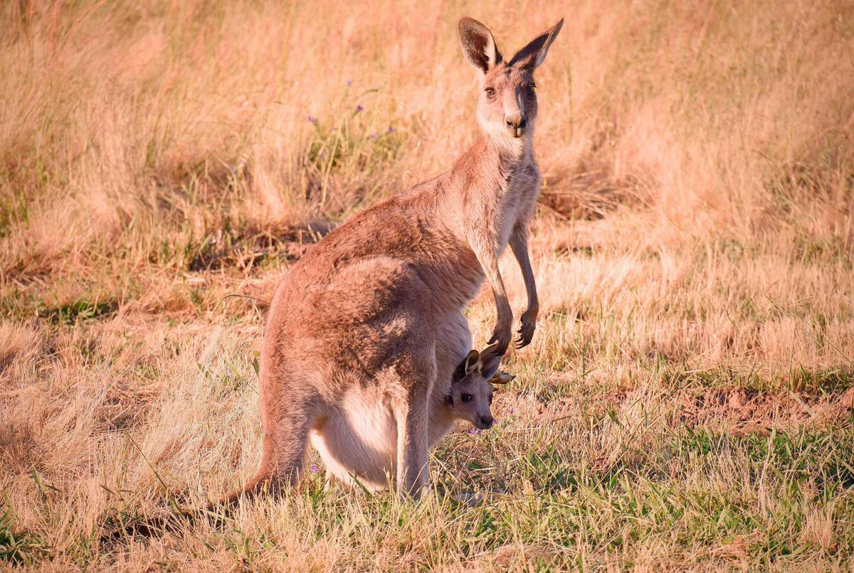 Mother and baby