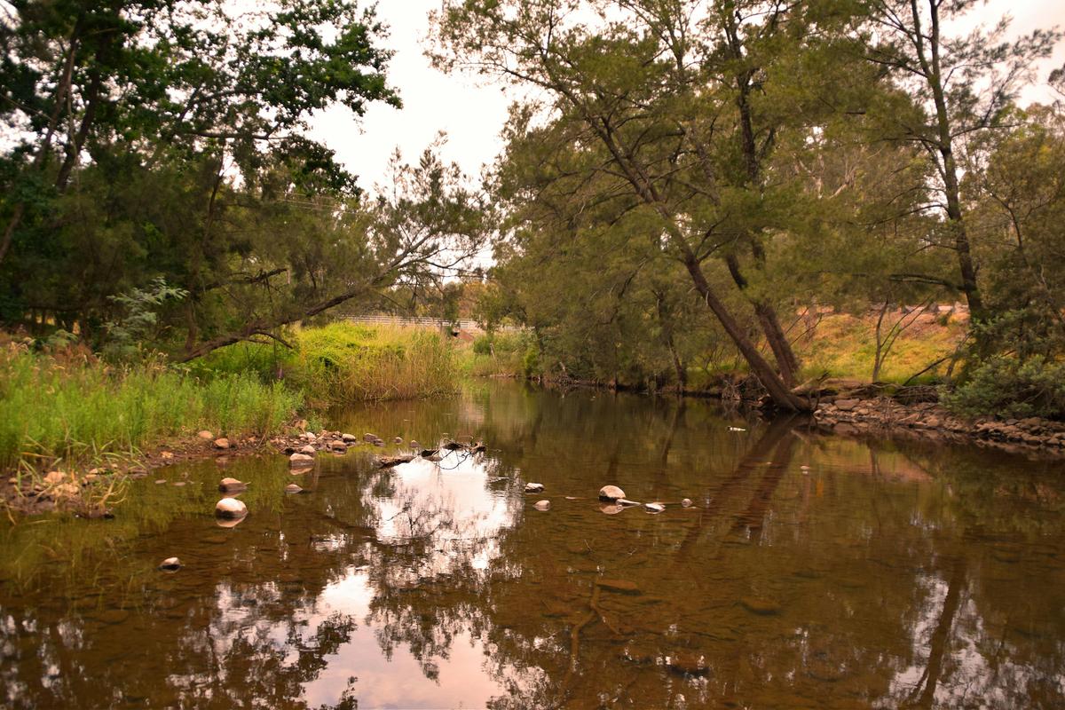 Part of our beautiful Wiradjuri country