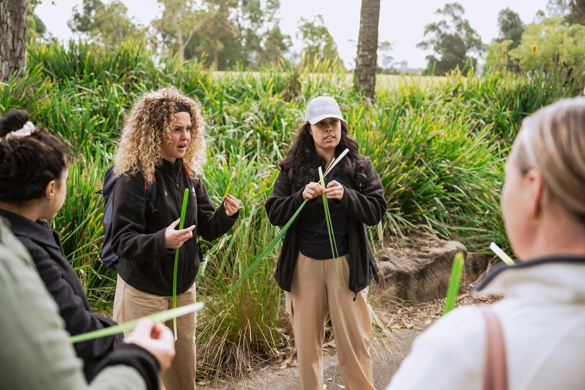 Aboriginal Cultural Tours