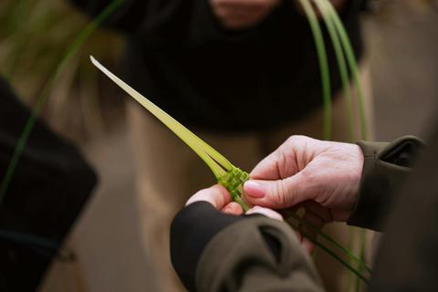 Barangaroo Aboriginal Cultural Tours