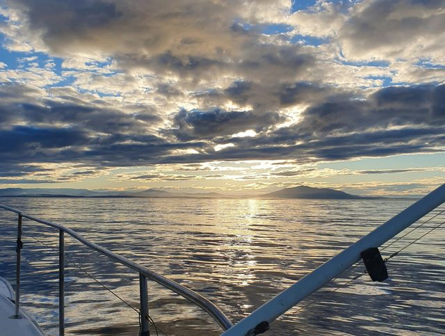 Bermagui Scenic Tours and Whale Watching