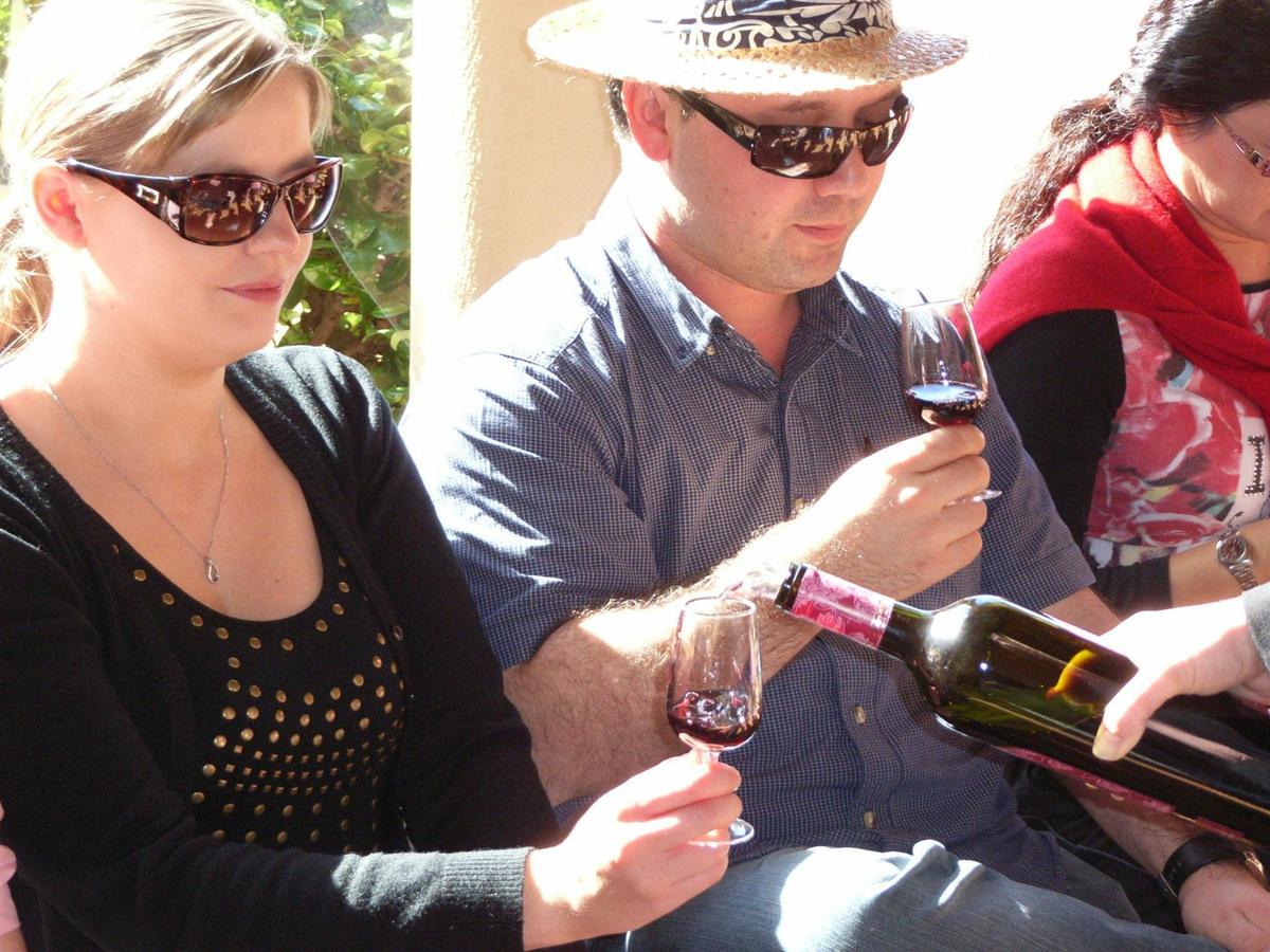 Expert-guided wine experience