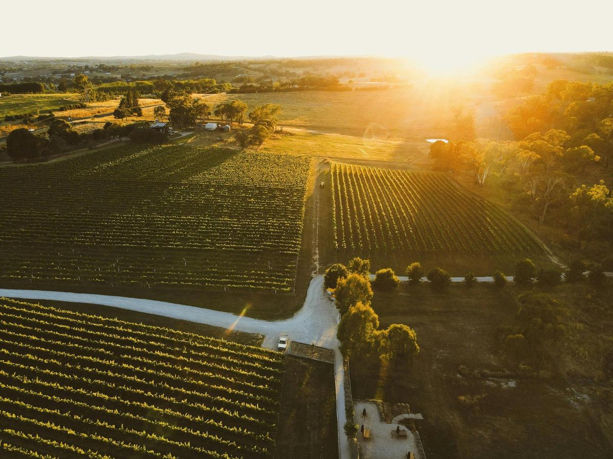 Views at Swinging Bridge