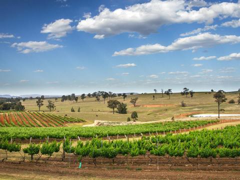 A glorious sunny day in the Hunter Valley.