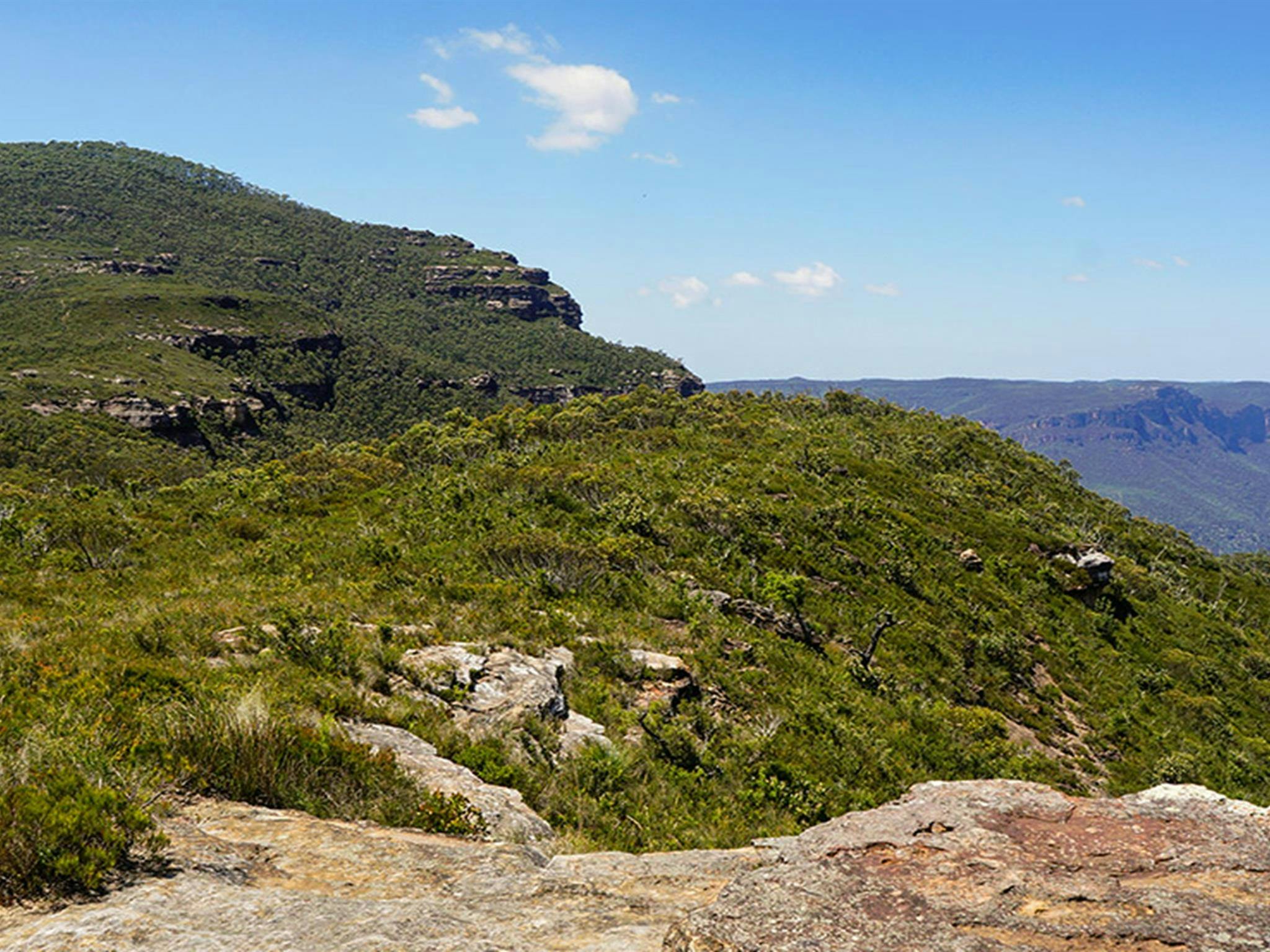 View of woodland, open heath and mountain peak, looking toward Claustral Canyon. Photo credit: