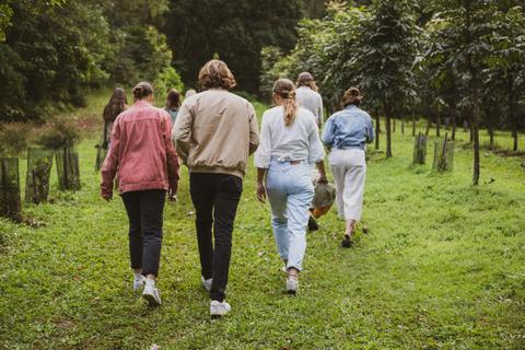 Tour Group