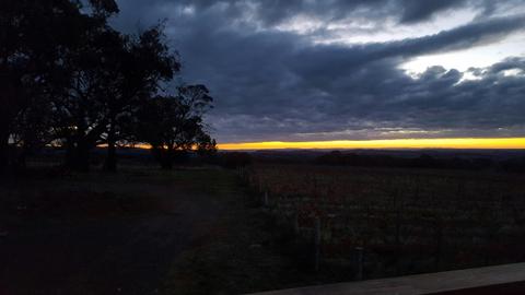 Cargo Road Winery Tours
