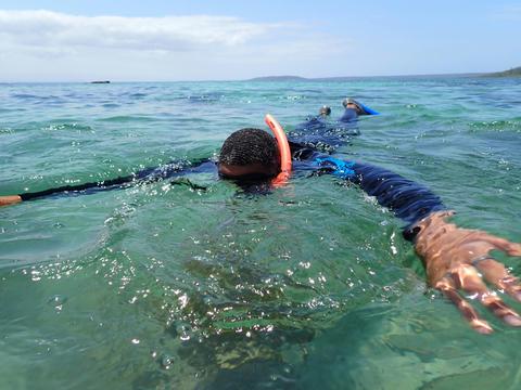 Beginner Snorkelling Experience