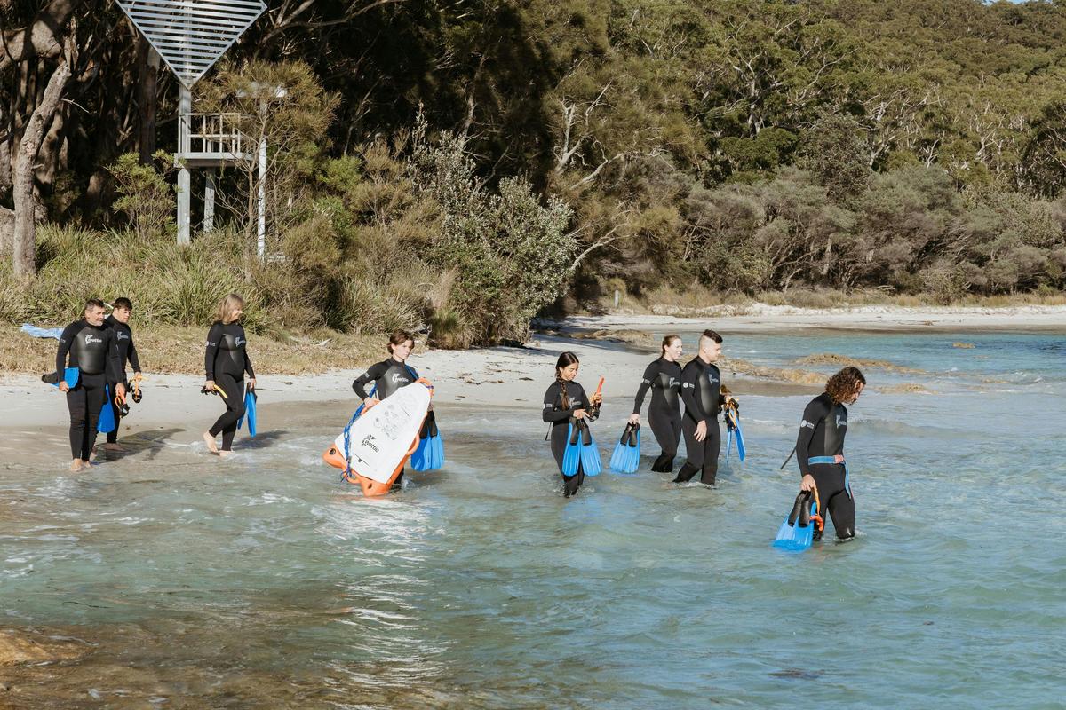 Beginner Snorkelling Experience