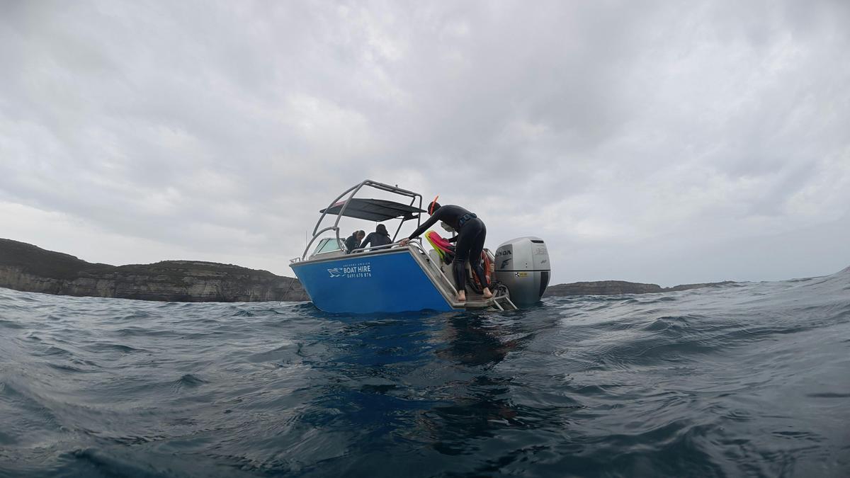 Private Boat Tour Jervis Bay