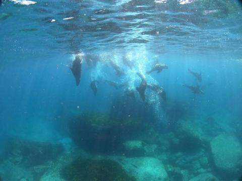 Private Boat Tour Jervis Bay