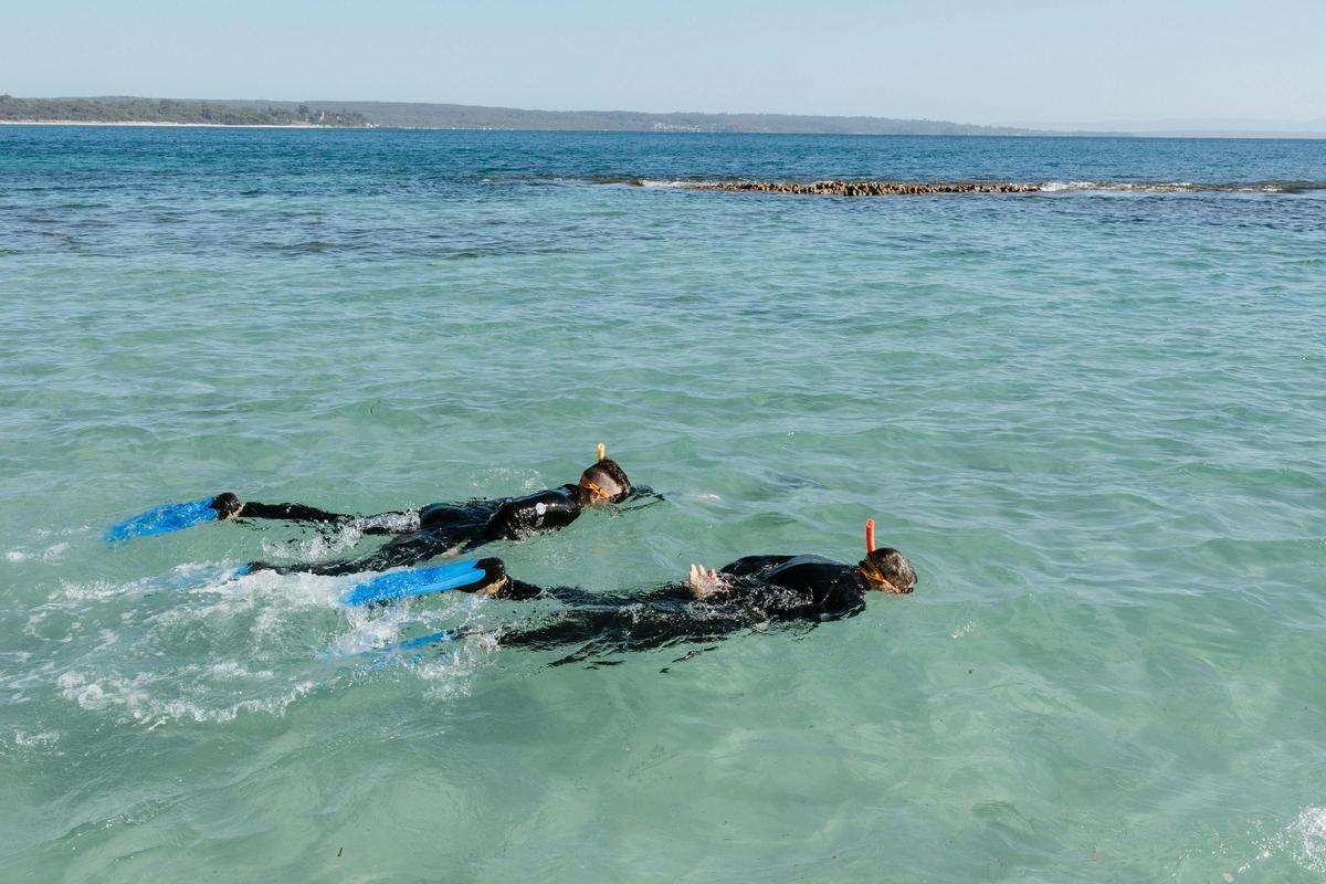 Beginner Snorkelling Experience