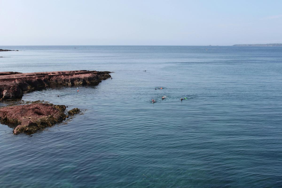 Clear water Merimbula Wharf