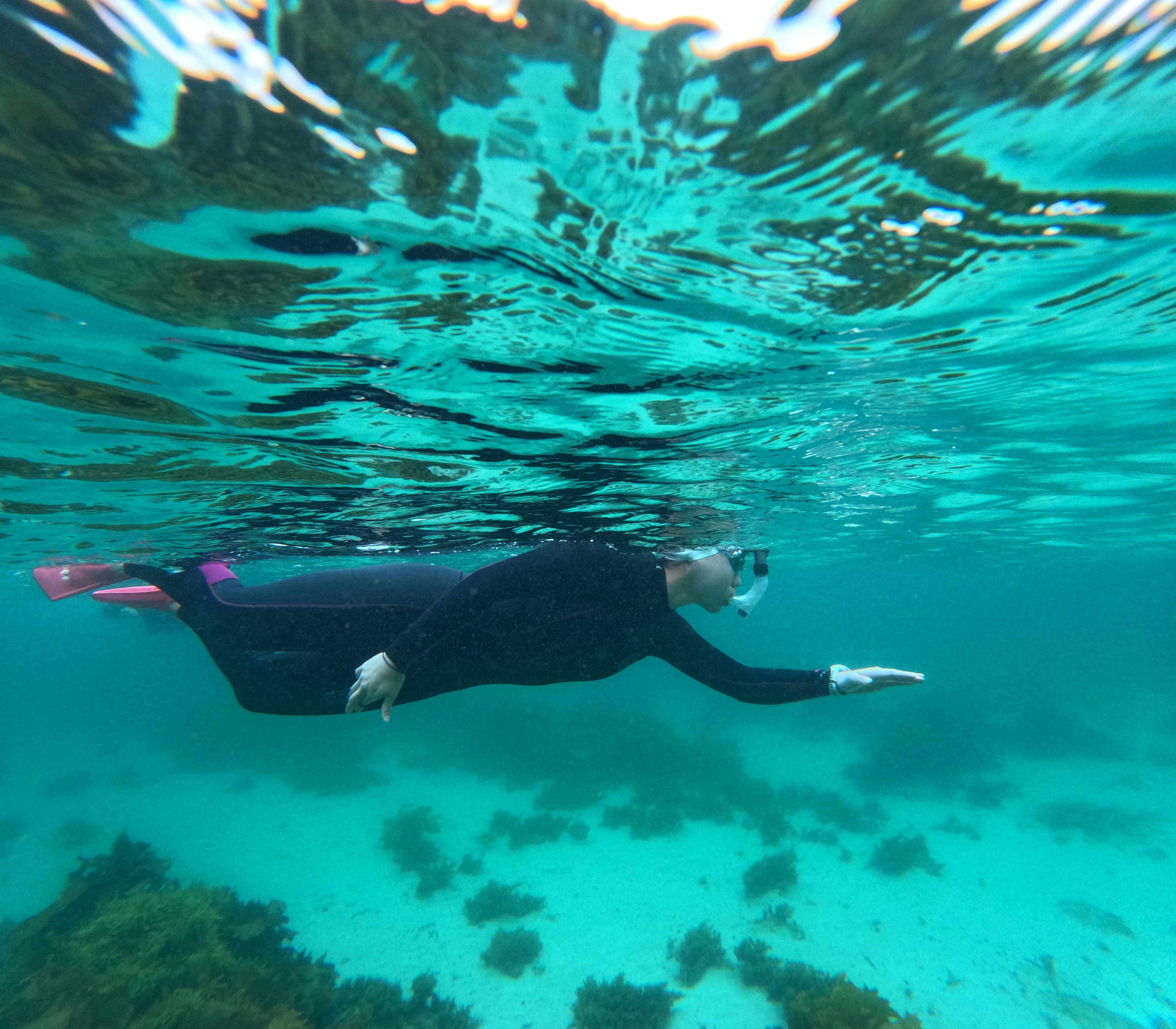 Snorkelling Jervis Bay
