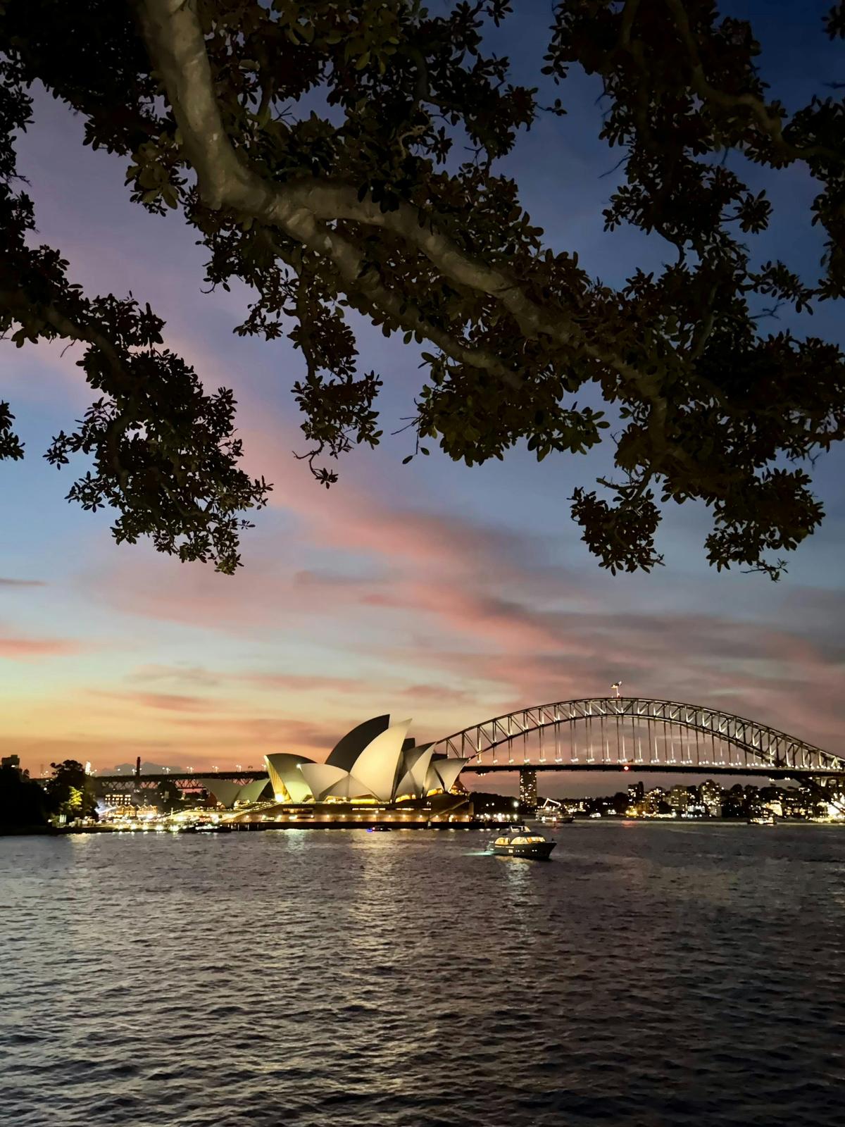 Sydney by night