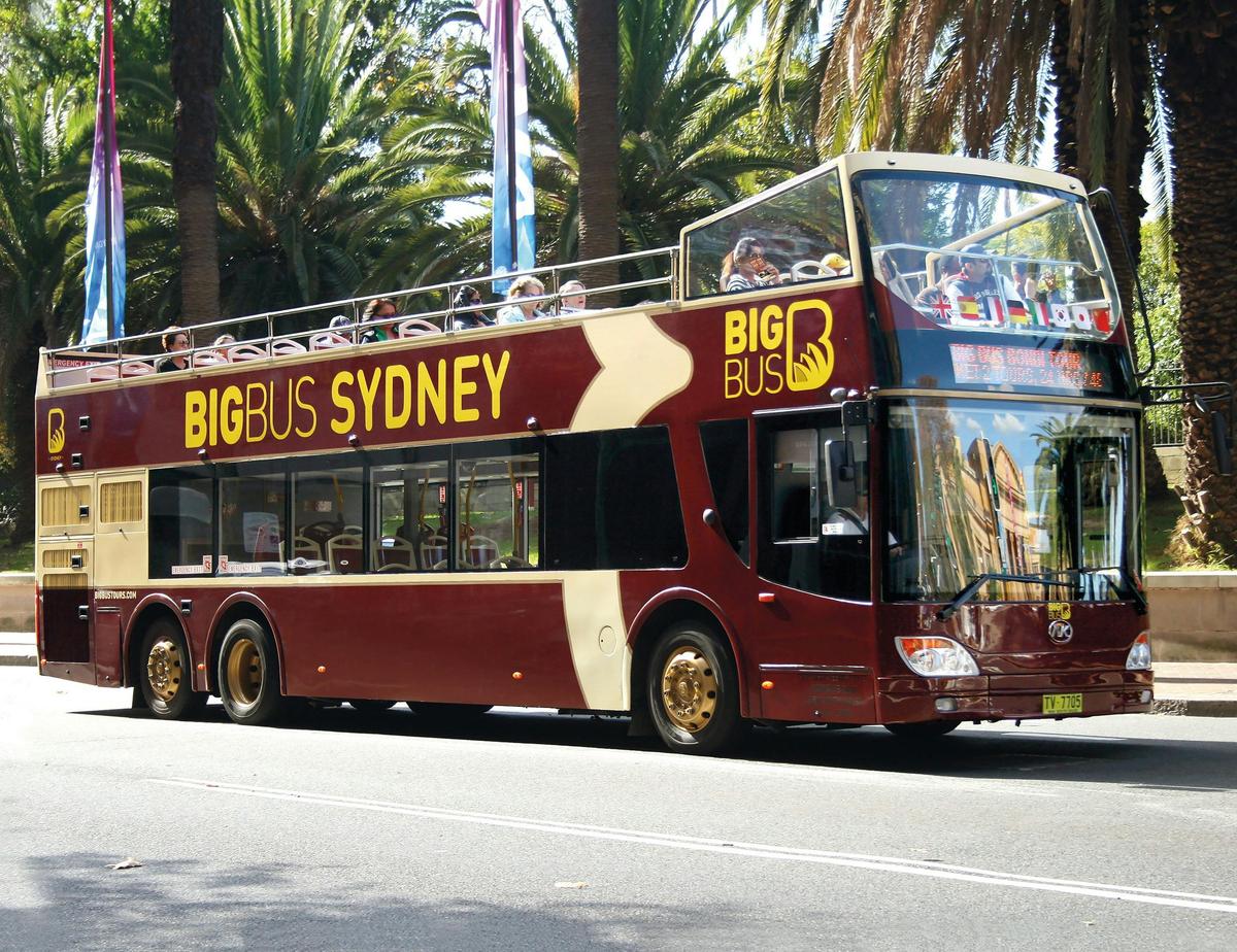 Big Bus 6