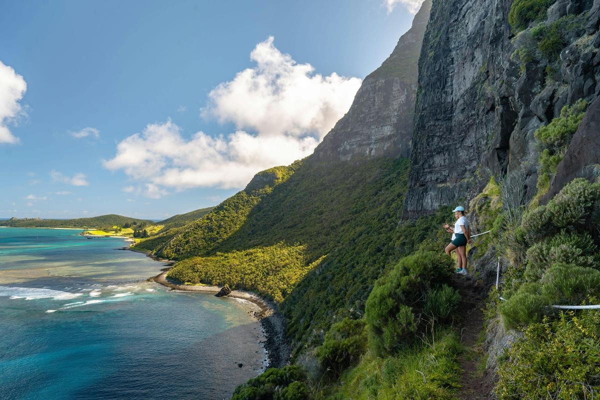 Lord Howe Island Expedition