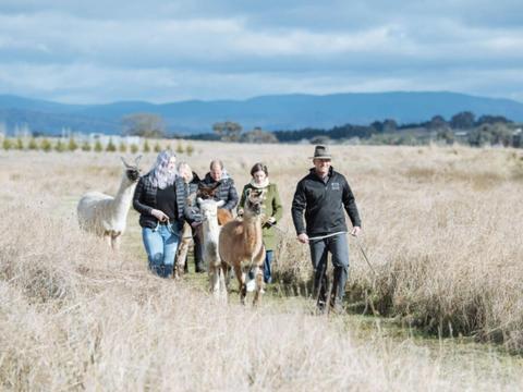 Blackwattle Alpaca Farm