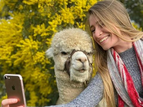 Blackwattle Alpaca Farm