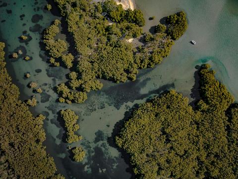 Castaway Estuary Fishing Charters