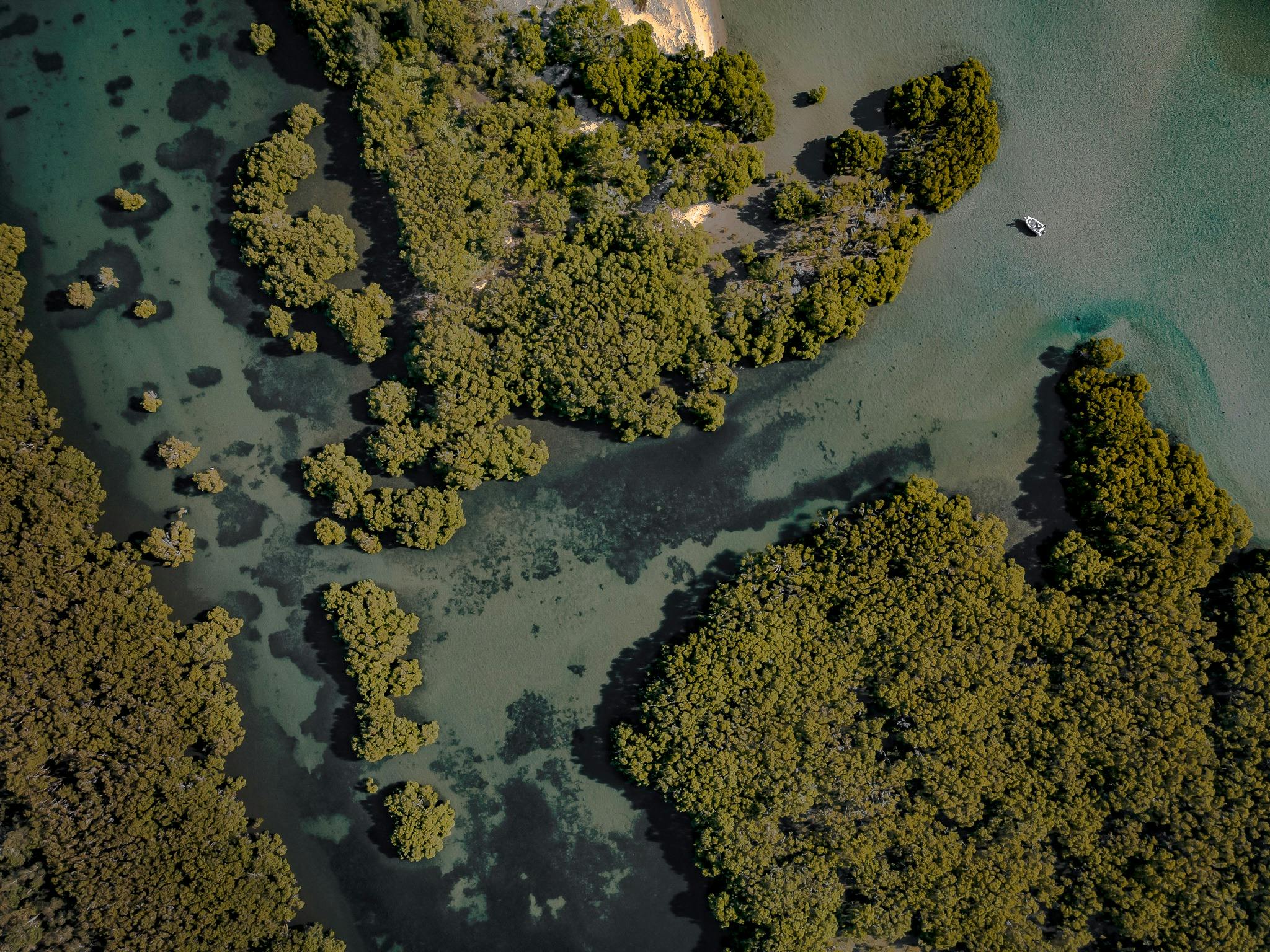 Hastings River, Port Macquarie