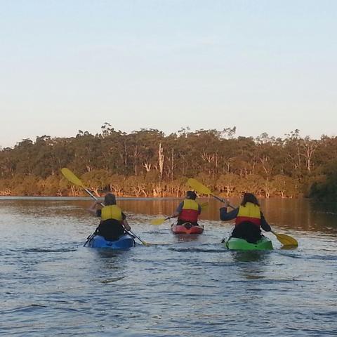 Sunset Kayak Eco-Tour