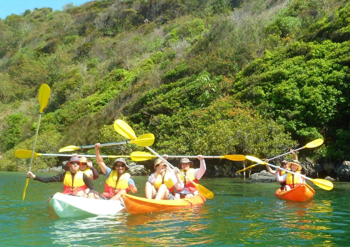 Sunset Tour at Boambee Creek