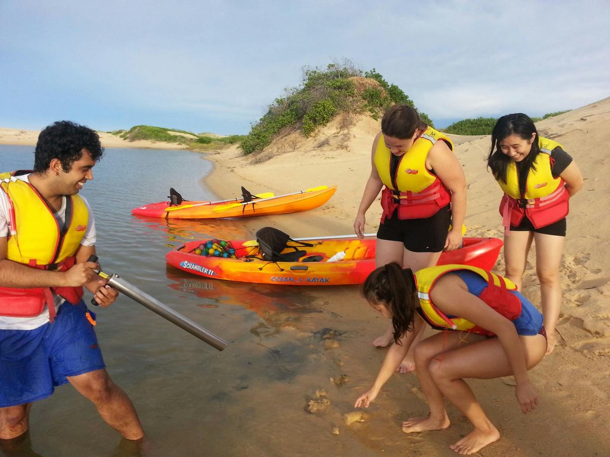 Sunset Kayak Eco-Tour 