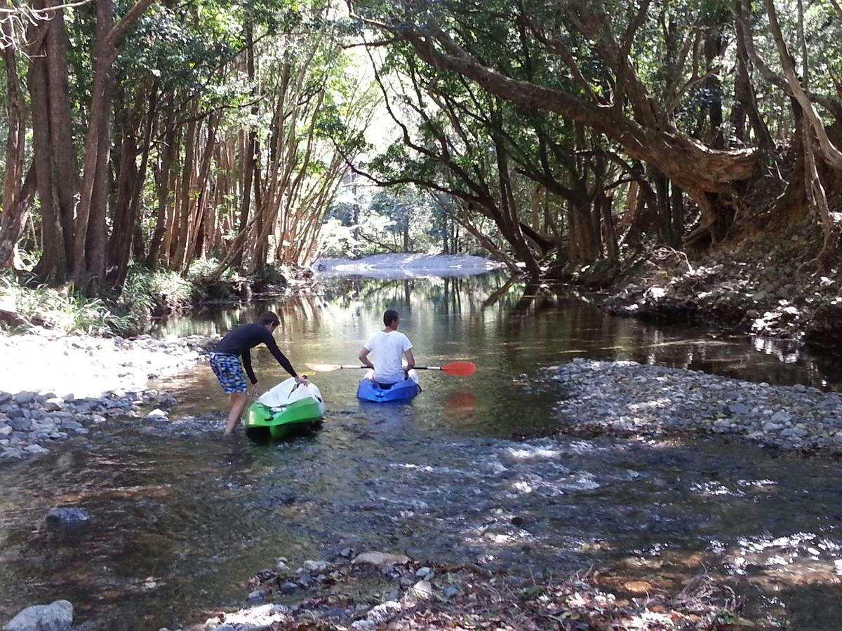 Tree-lined river banks on Never Never Creek with C-Change Adventures