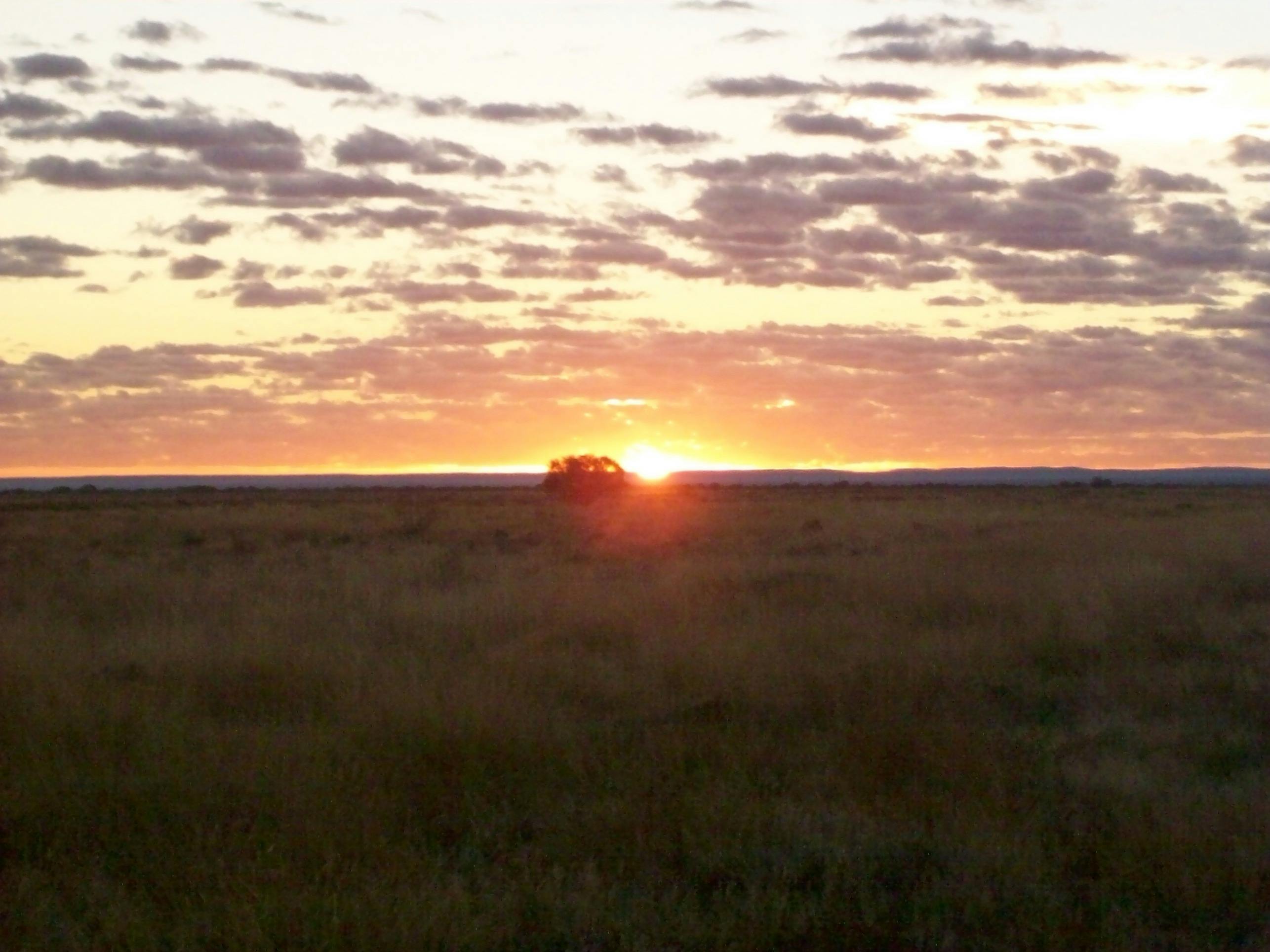 Sunset from Sculpture Symposium