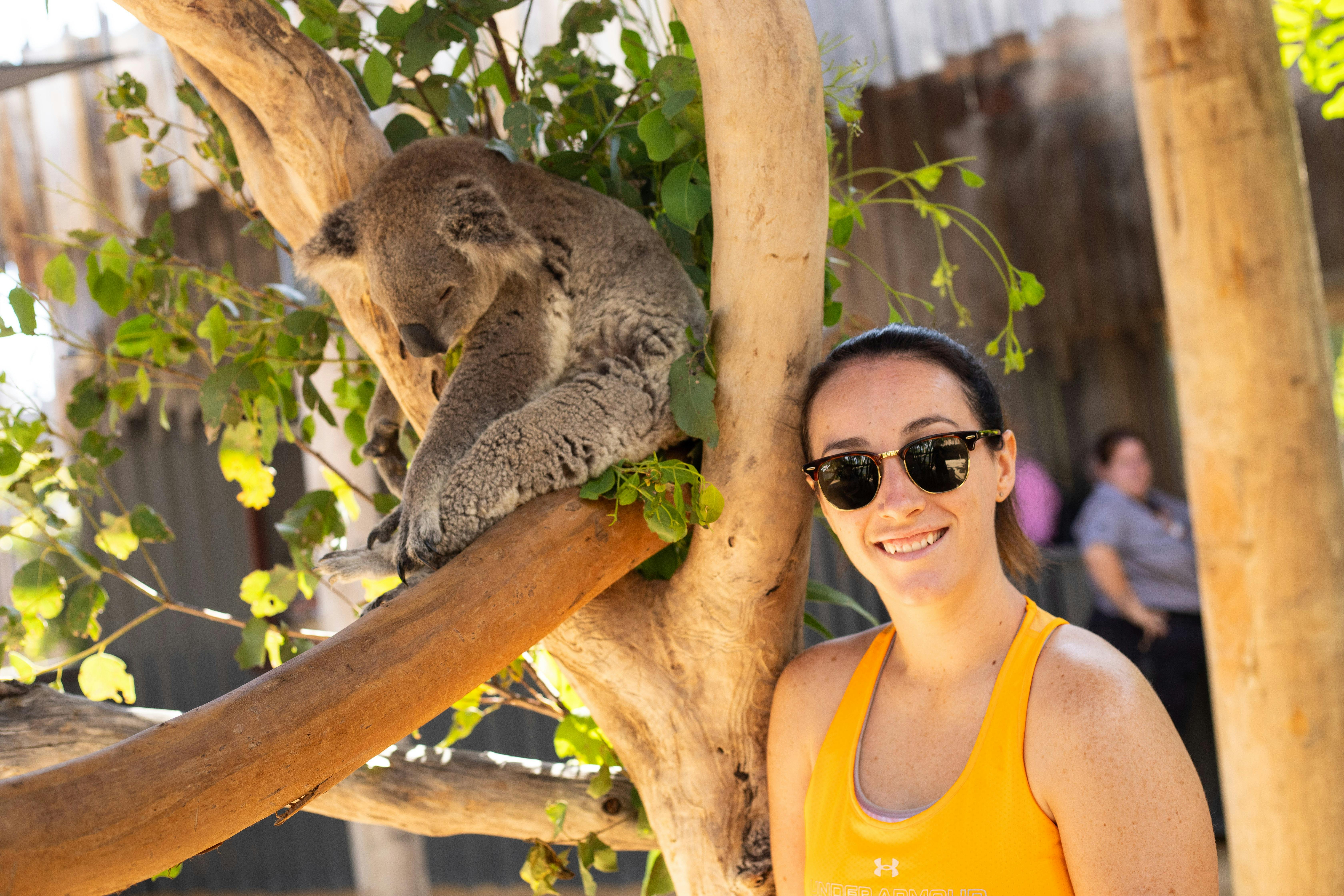 Brighton Tour guest getting up close with Australia's most iconic marsupial the Koala