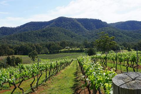 Vistas of the Hunter Valley