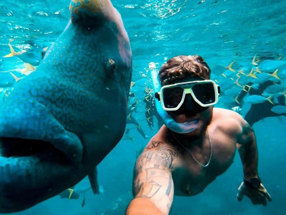 Snorkeller taking a selfie with a large Maori wrasse fish, Great Barrier Reef