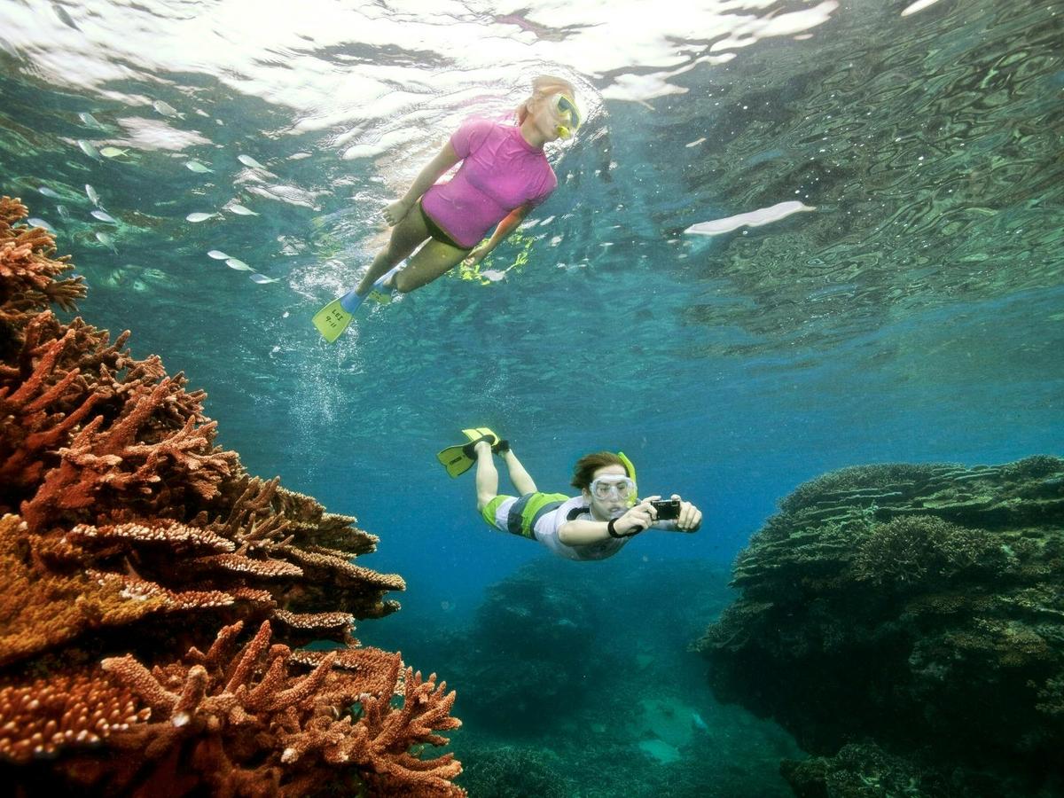 Backpackers World Travel NSW