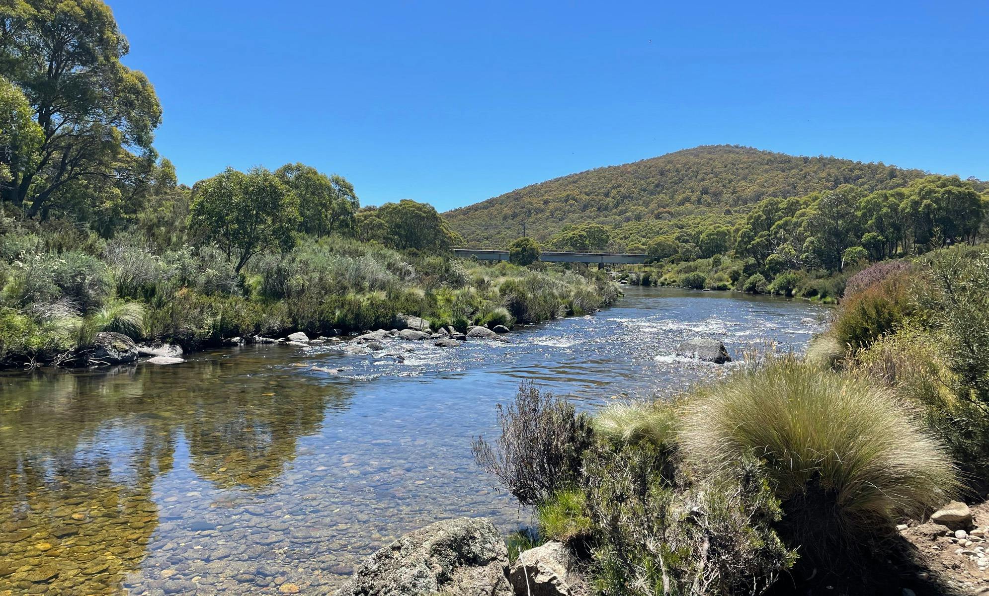 Thredbo River