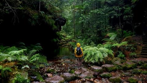 7-Day Lux Blue Mountain Traverse 7
