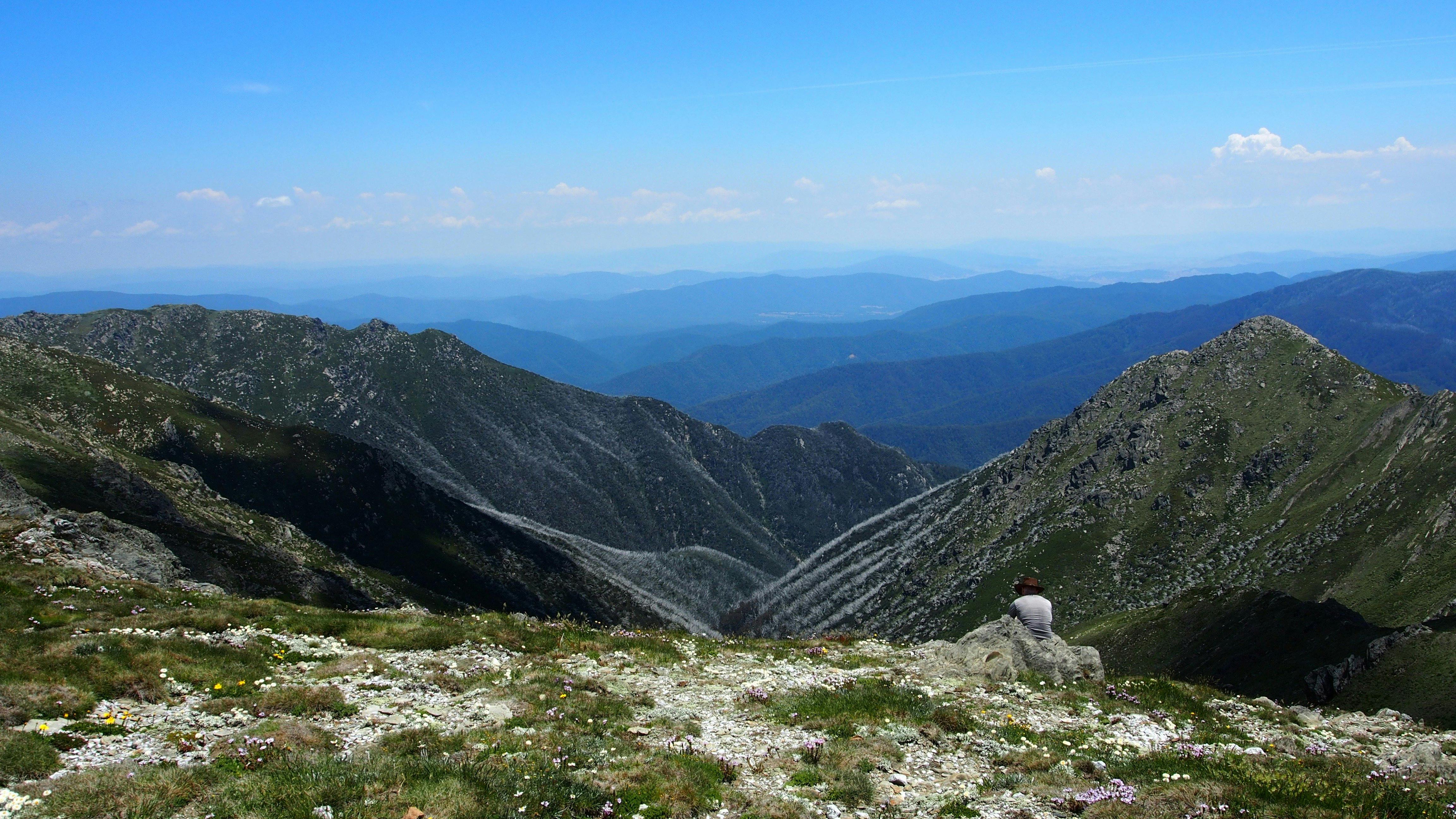 Caruthers Mountain Snowy Mountains, New South Wales